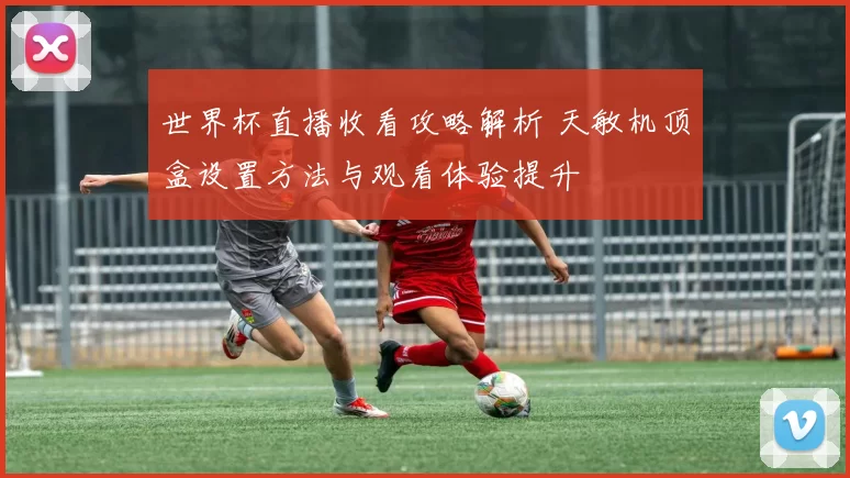 世界杯直播收看攻略解析 天敏机顶盒设置方法与观看体验提升