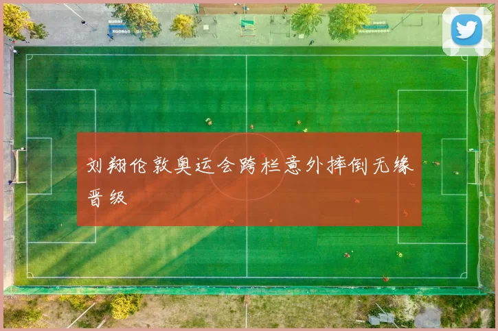 刘翔伦敦奥运会跨栏意外摔倒无缘晋级