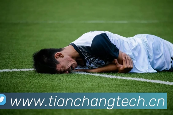 App Interface Preview